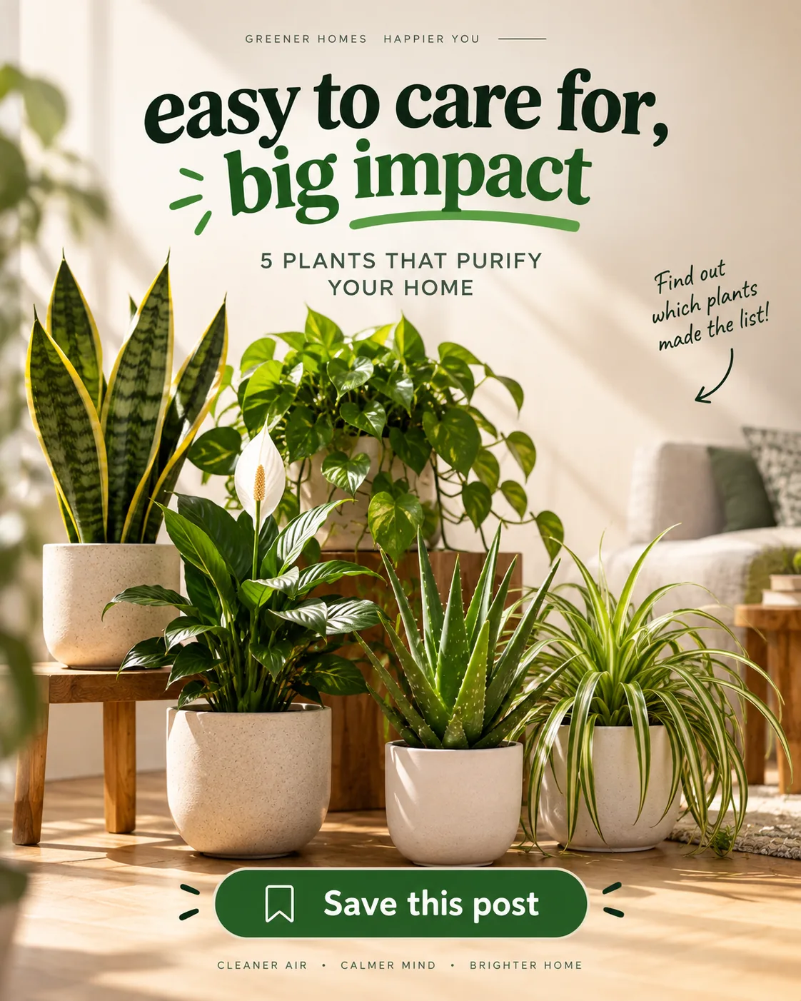 An Instagram post made with the pack for a plant shop, listing five plants that purify a home.